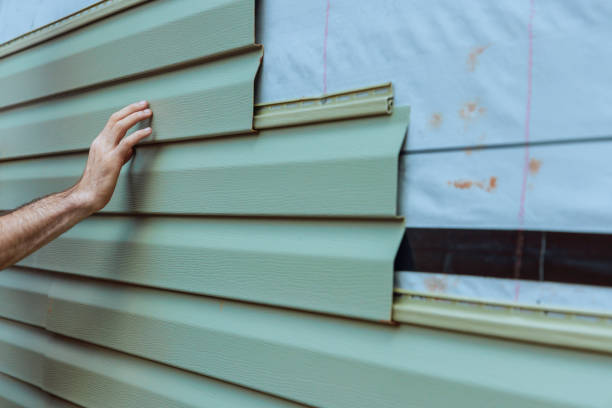 Affordable Siding Repair and Maintenance Services in Newport, MN